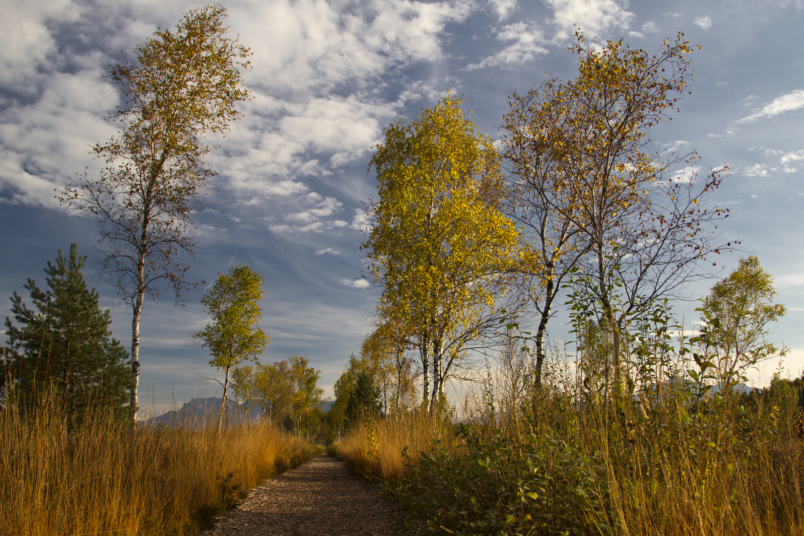 Heidewanderung