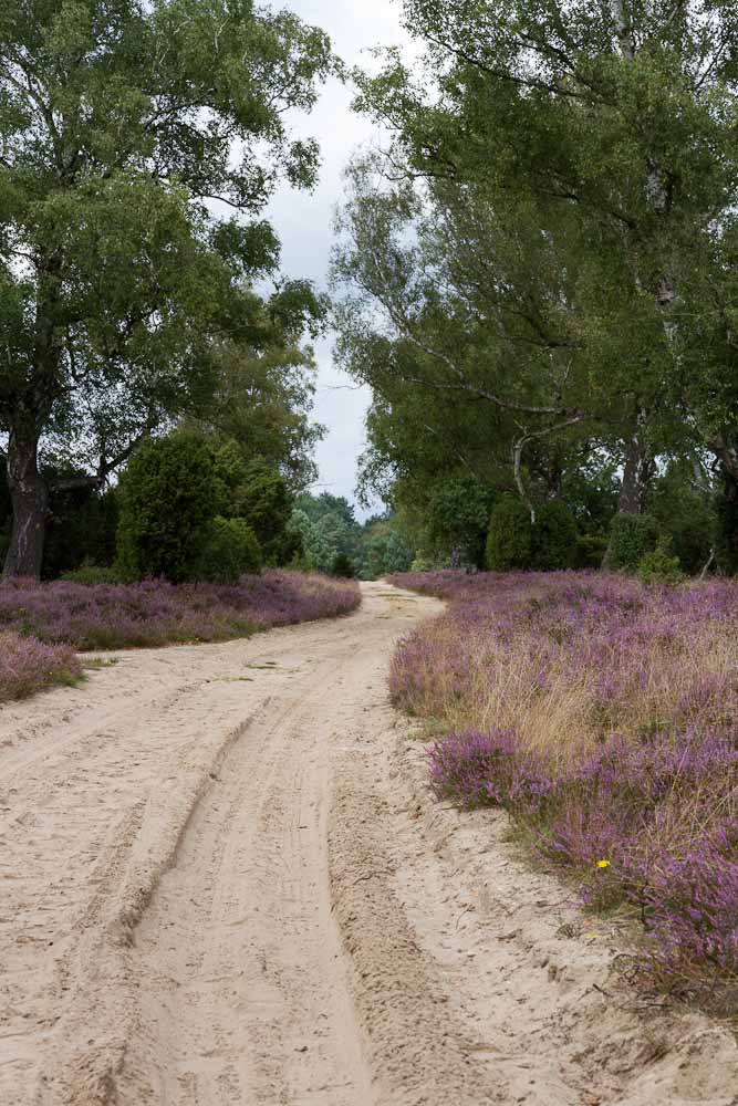 Heideweg