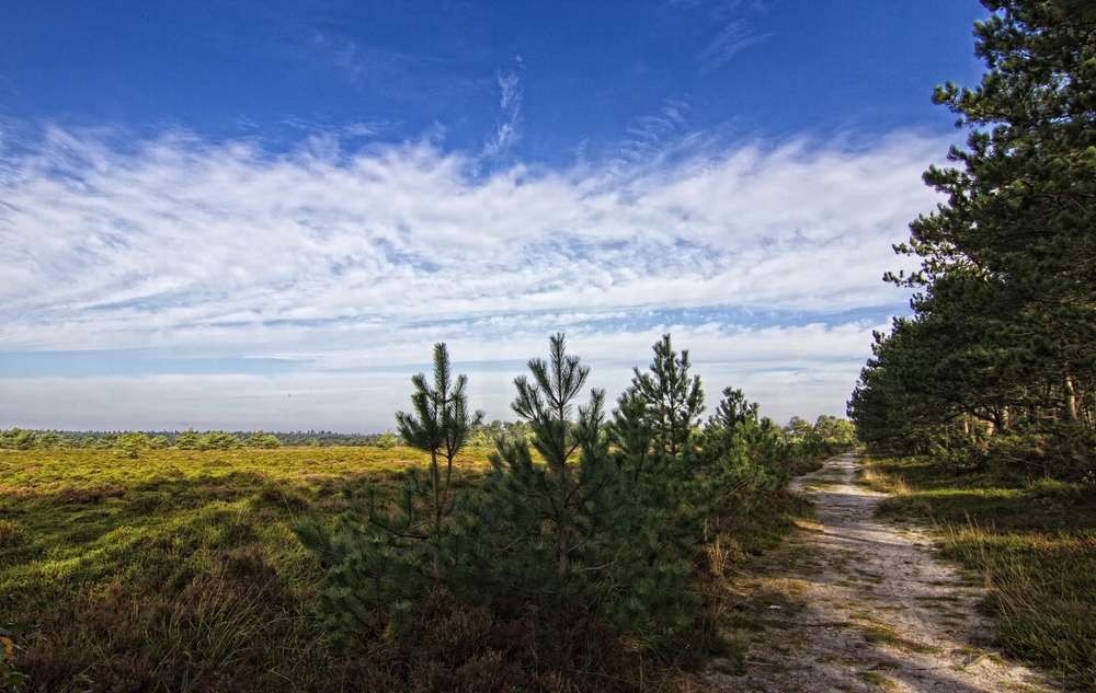 Heideweg