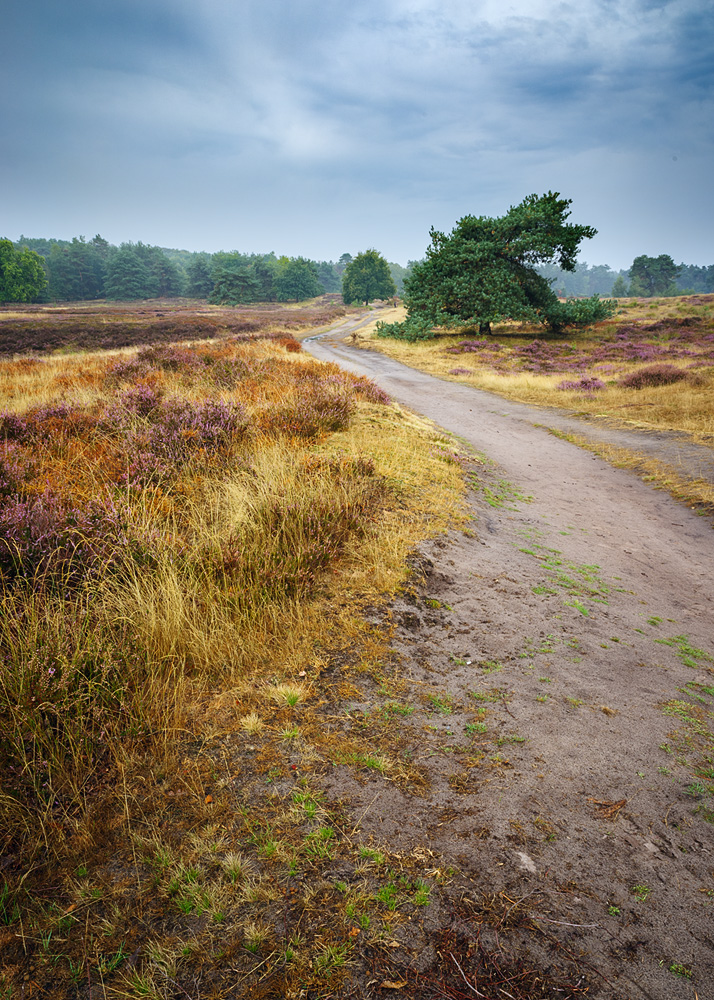 Heideweg