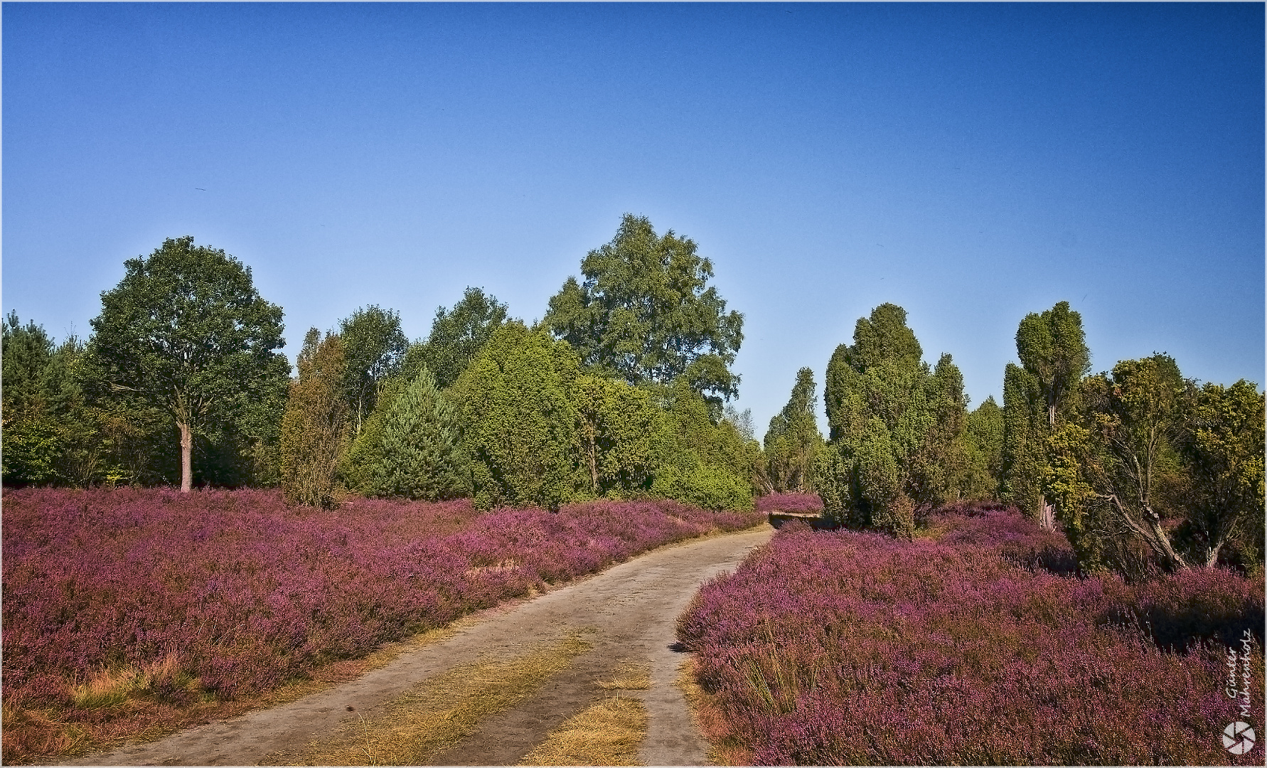 Heideweg