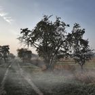 Heideweg im Nebel