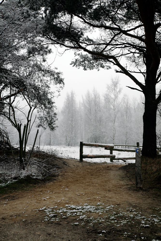 Heideweg im Winter