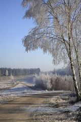 Heidewege im Winter