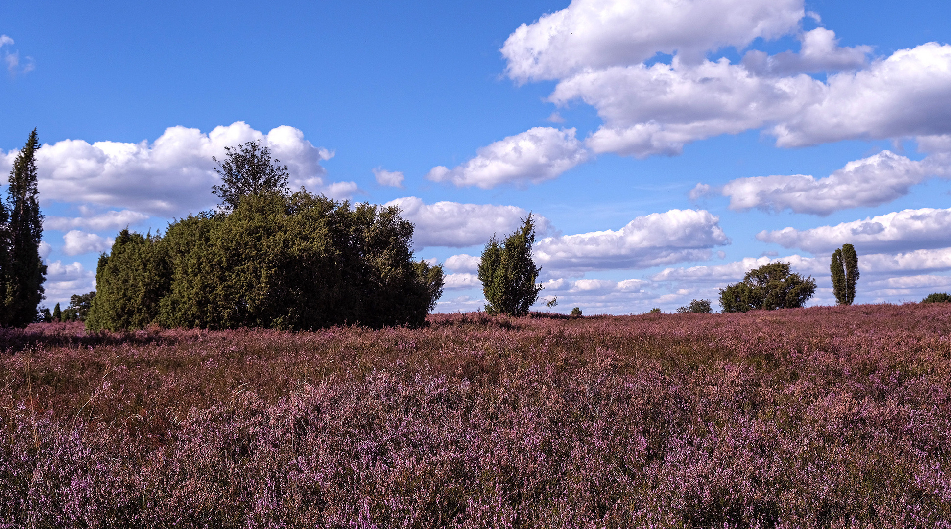 Heidewolken