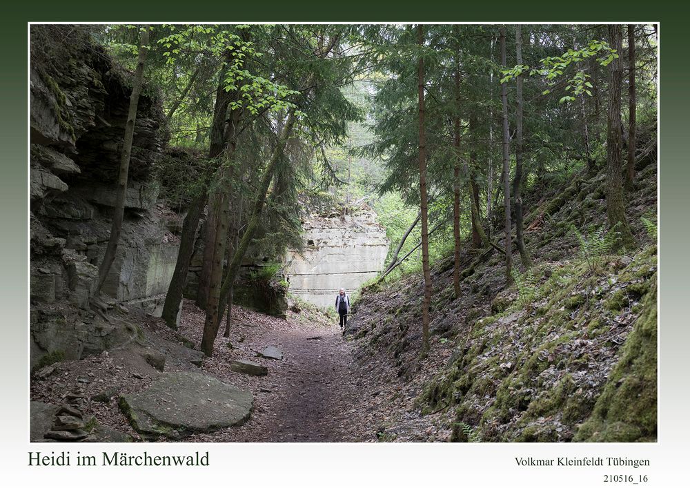 Heidi im Märchenwald