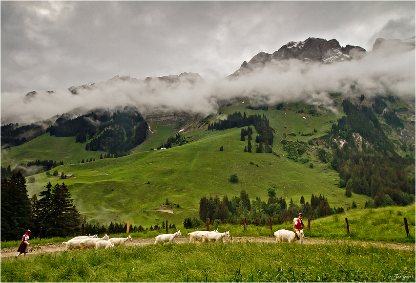 Heidi und der Geissenpeter