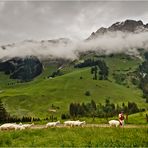 Heidi und der Geissenpeter