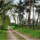 Heidjers Wanderweg