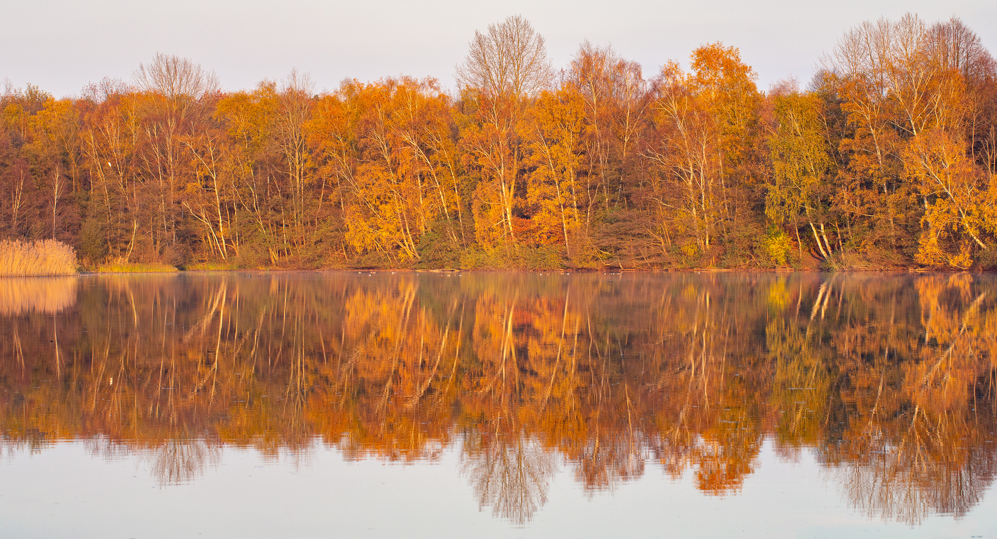 Heidsee im Abendlicht