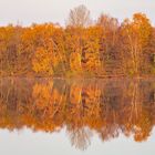 Heidsee im Abendlicht