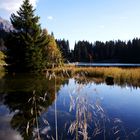 Heidsee im Herbst