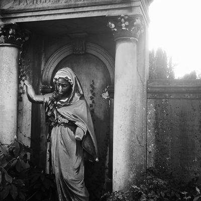 Height of callousness XII