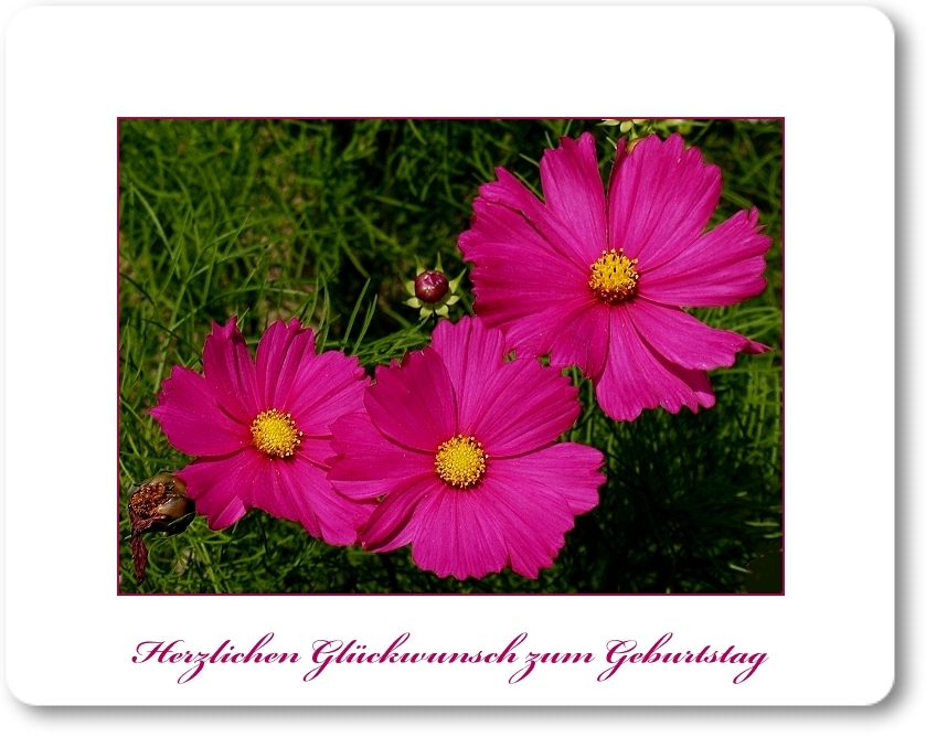 Heike Blume hat Geburtstag