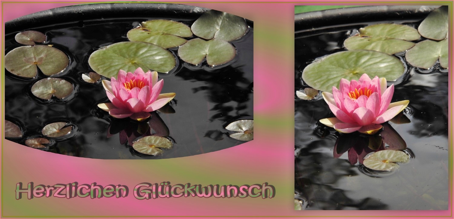 Heike hat Geburtstag Foto & Bild fotos, spezial, wasser Bilder auf