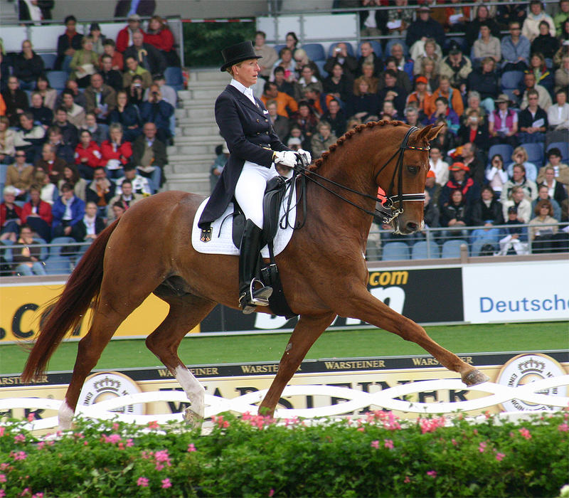 Heike Kemmer Bonaparte Foto & Bild sport, sport mit tieren