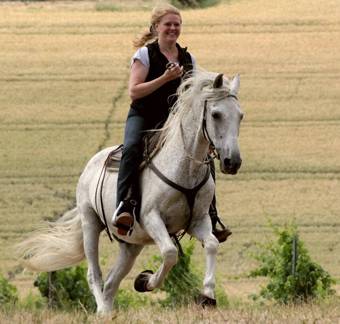 Heike&Zeuss