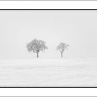 Heiko_Winter