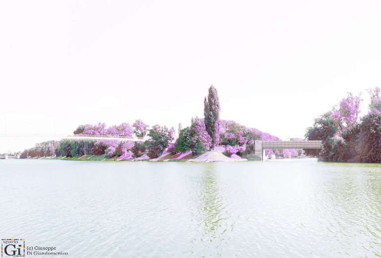 Heilbronn. Inselspitze am Neckar mit Baum.