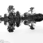 Heilbronn. Landschaft am Neckar