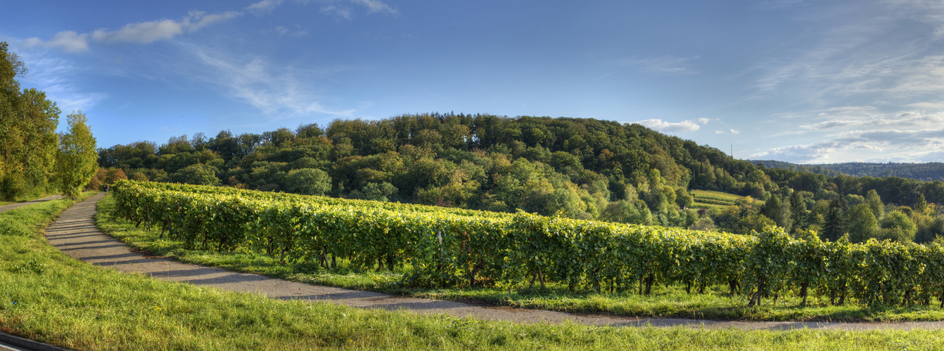 Heilbronn. Waldbekrönte Hügel 3