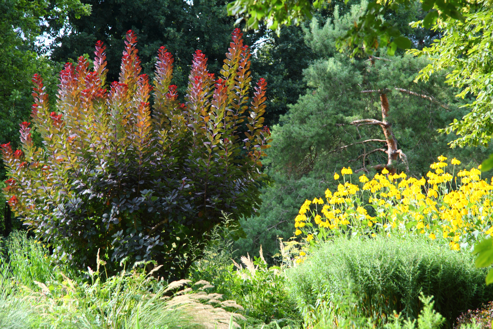 HEILBRONN Wertwiesenpark