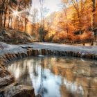 "Heilbronner Köpferbrunnen im Herbstgewand"