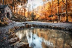 "Heilbronner Köpferbrunnen im Herbstgewand"