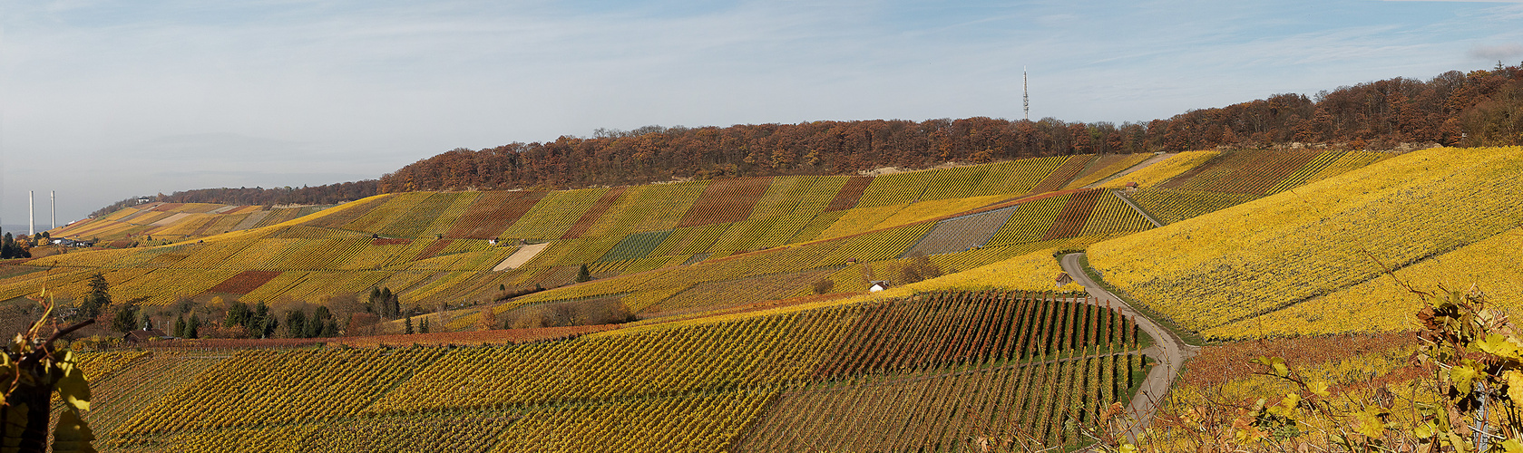 Heilbronner Weinberge im Herbst