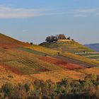 Heilbronner Weinland...