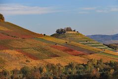 Heilbronner Weinland...