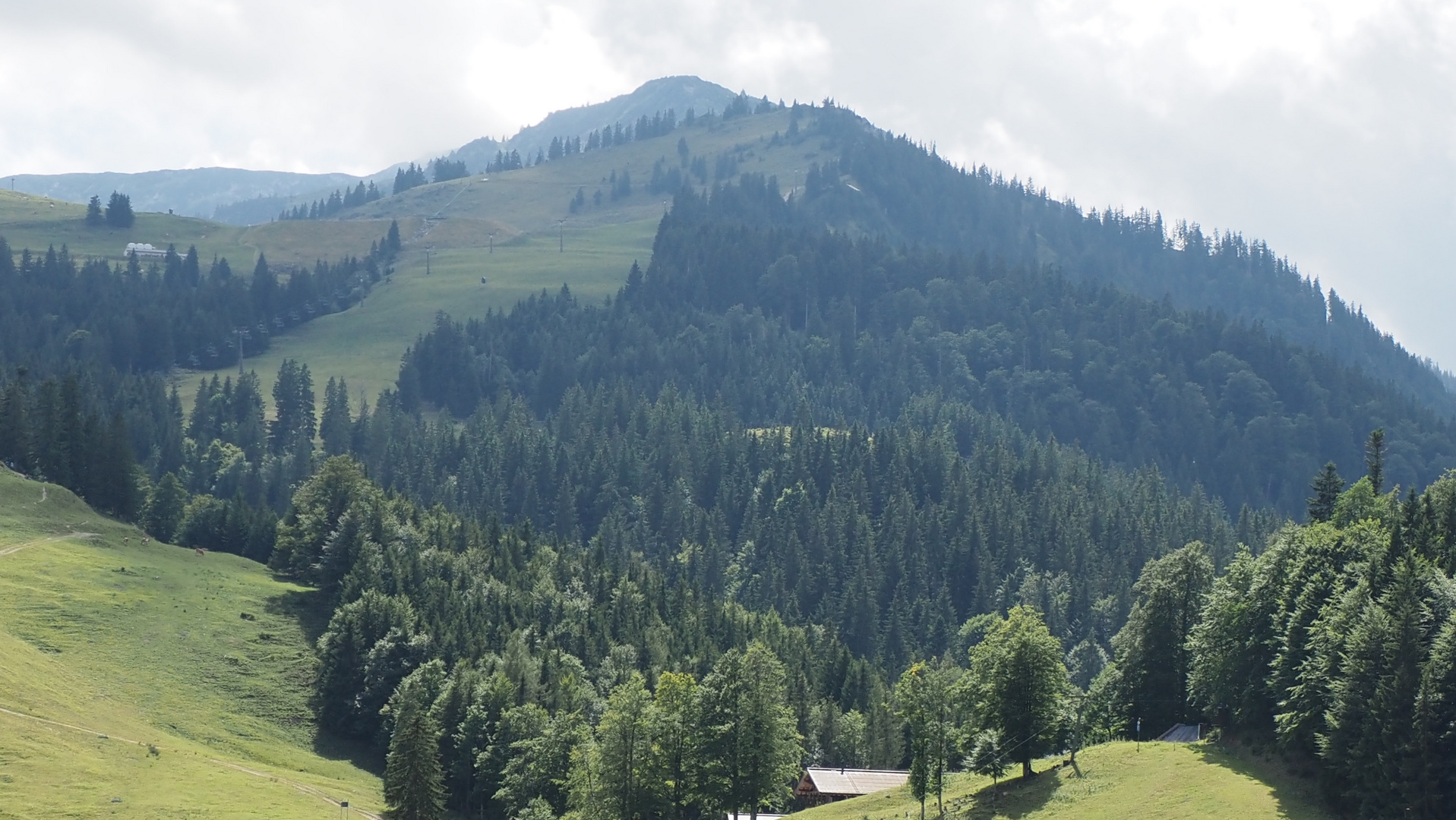 Heile Wälder  Bayern