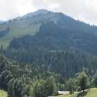 Heile Wälder  Bayern