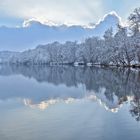 Heilenbecker Stausee mit Rauhreif auf den Bäumen....