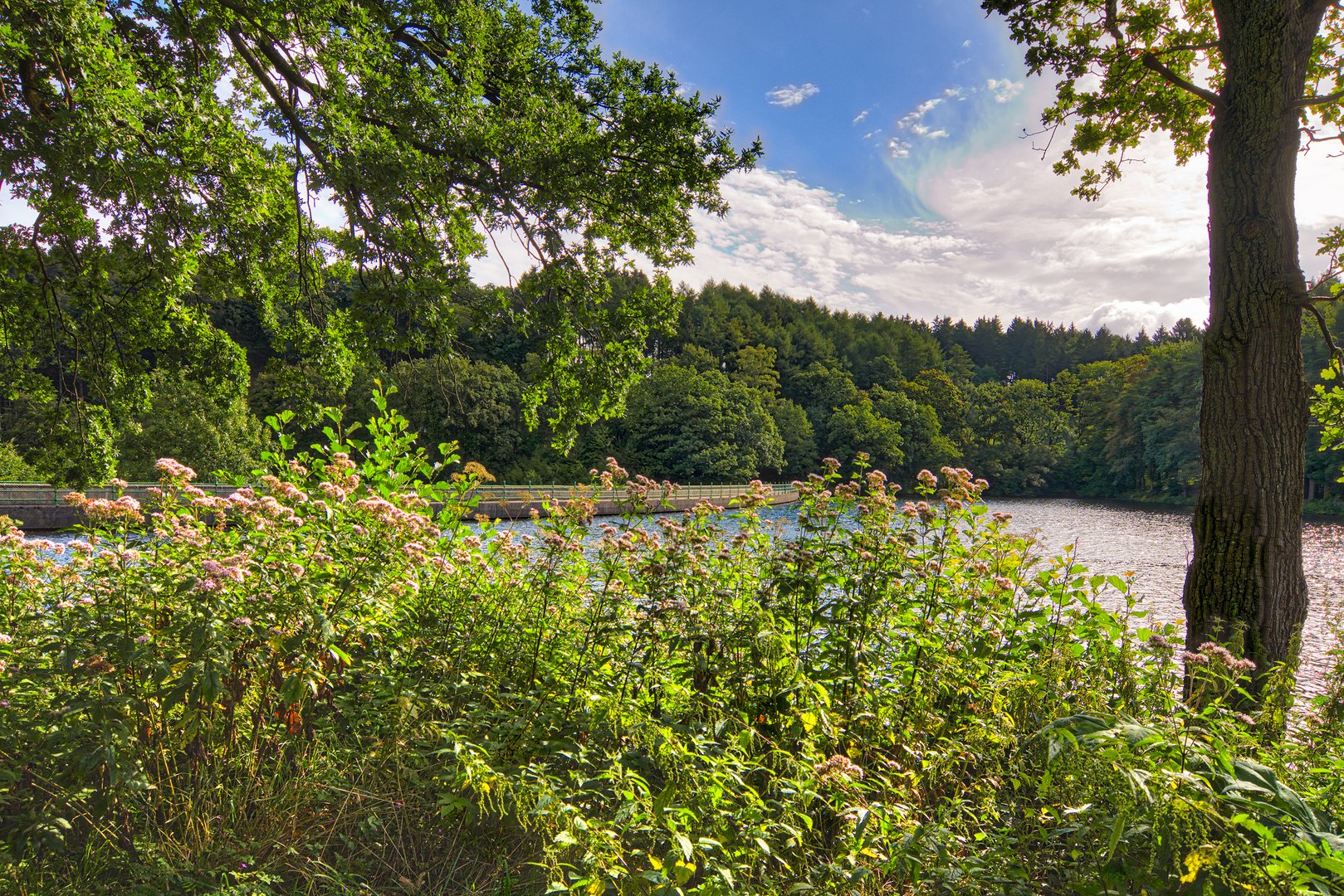 Heilenbecker Talsperre