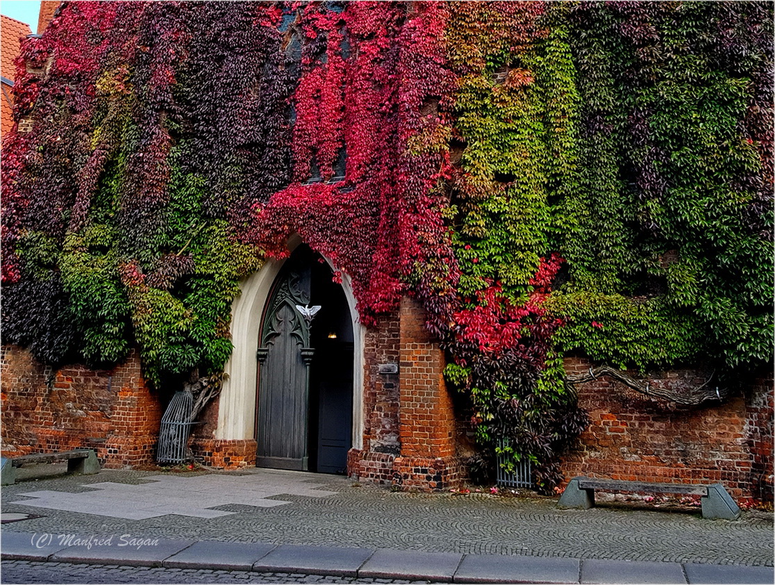 Heilgeistkirche Stralsund im Herbstkleid... 