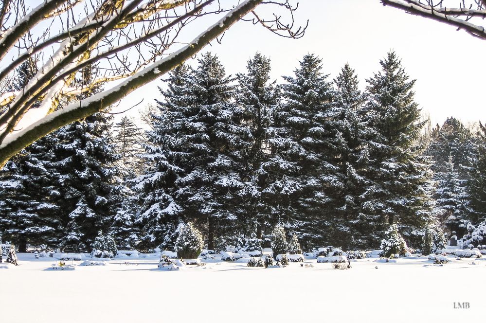 Heilig Abend 2018 Foto &amp; Bild | weihnachten, spezial, wald Bilder auf