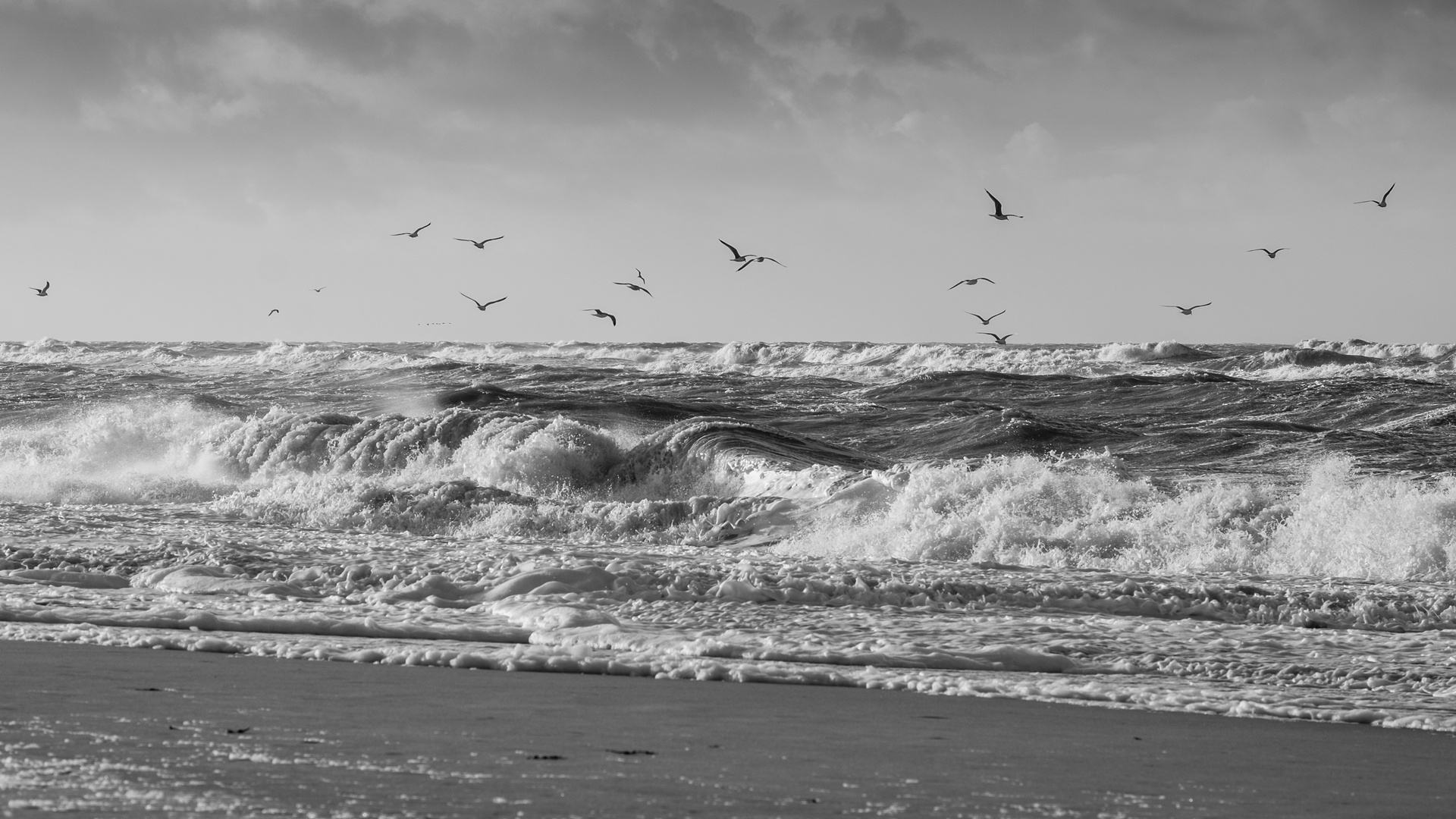 Heiligabend am Strand vor Kampen II