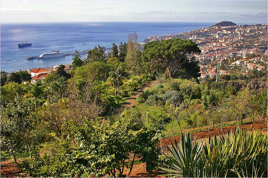Heiligabend auf Madeira