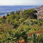 Heiligabend auf Madeira