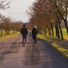 heiligabend in sachsen