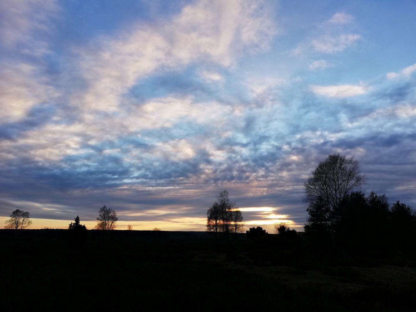 Heiligabend Spaziergang, frohe Weihnachten