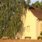 Heilige Kreuzkapelle Neuenburg am Rhein, Morgenstimmung (10)