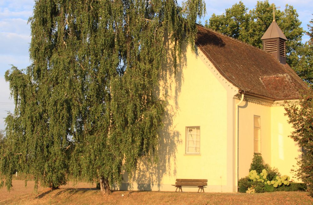 Heilige Kreuzkapelle Neuenburg am Rhein, Morgenstimmung (10)