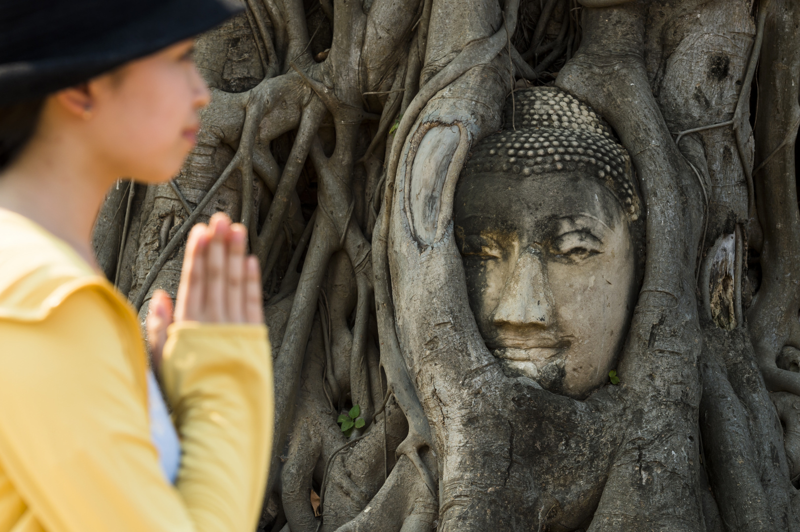 Heilige Stätten des Buddhismus - Wat Mahathat, Ayutthaya, Thailand. 