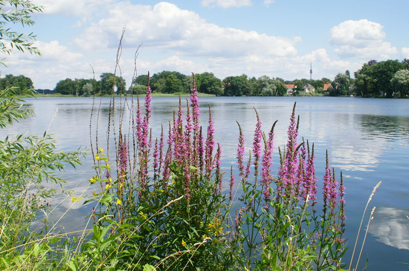 heiligen See bei Potsdam