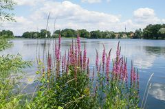 heiligen See bei Potsdam