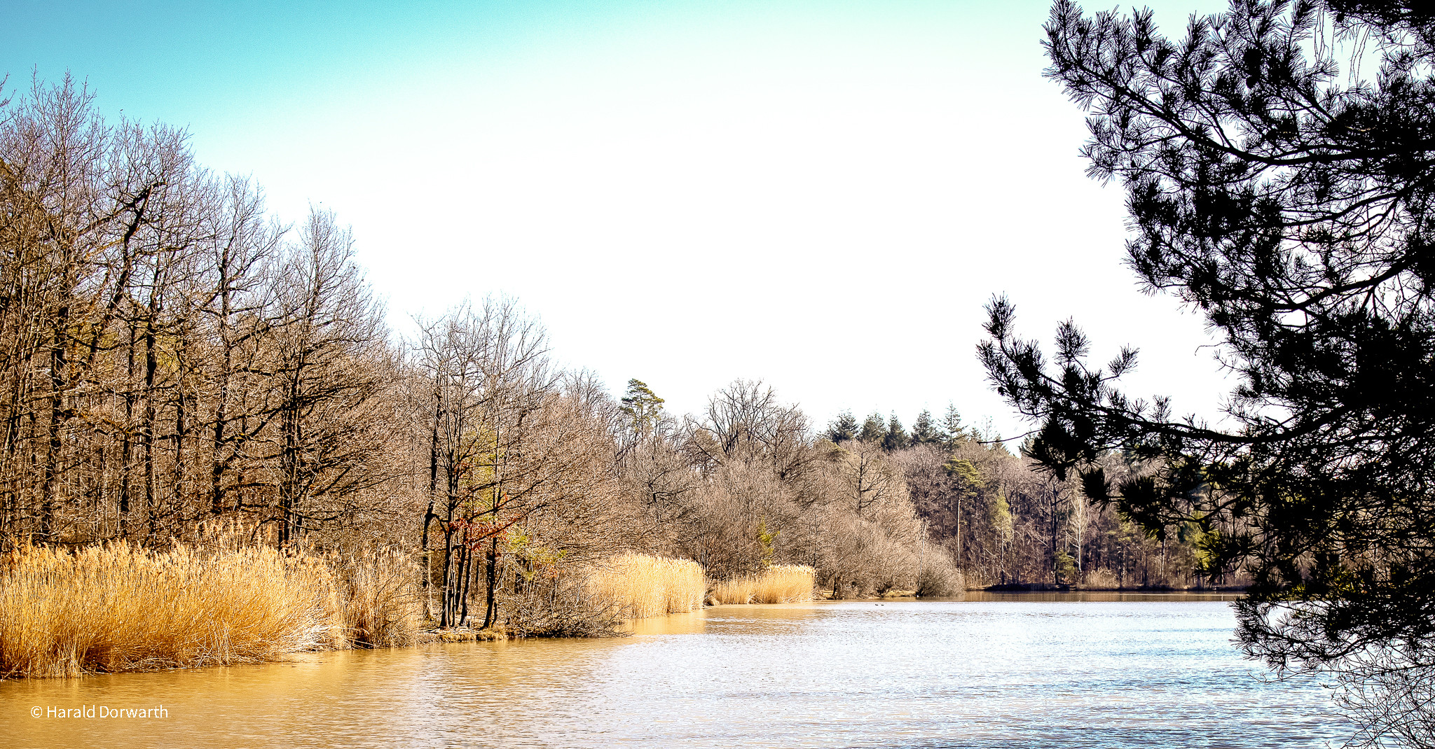 Heiligenbergsee