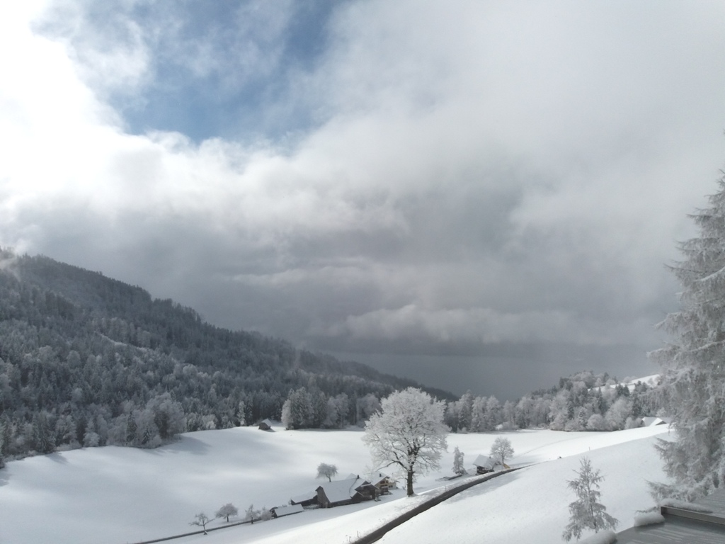 Heiligenschwendi oberhyalb CH Thunersee