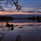 Heiligensee zur blauen Stunde